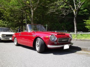panelimg
