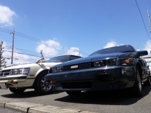 iuty