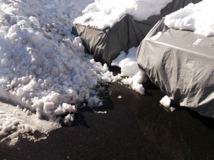 雪1