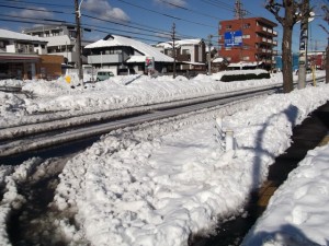 雪4