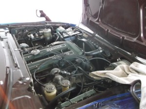 isuzu4