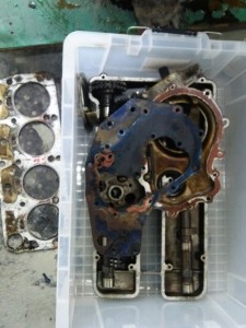 eg6
