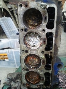 eg8