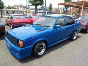 pfb1