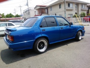pfb3