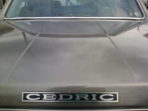sd21