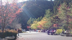 okutama02