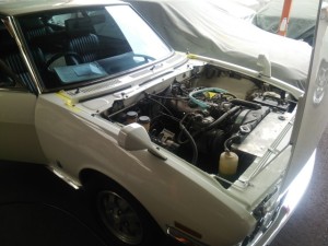 saikai1