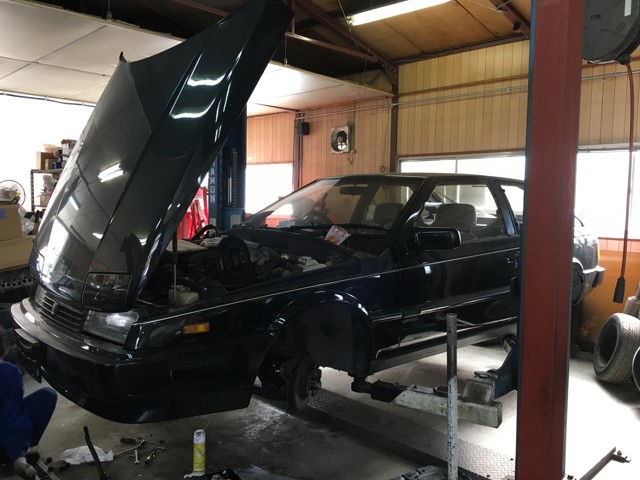 lotus1