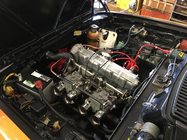 g161eg