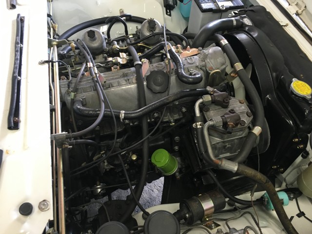 kanekoxc3