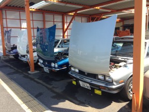 IMG_9497[1]