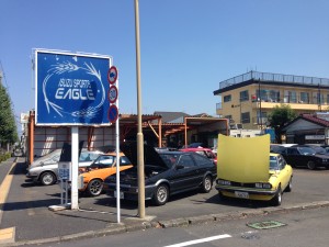 IMG_9498[1]