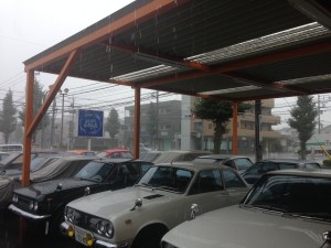 IMG_9737[1]