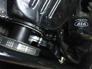 IMG_9862[1]