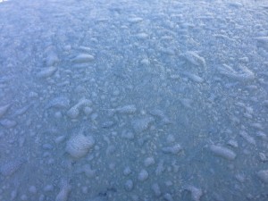 IMG_1879[1]