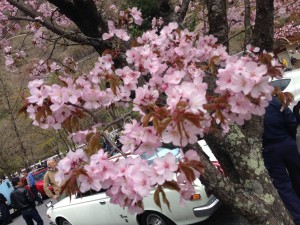 IMG_4721[1]
