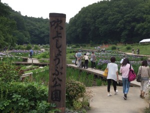 IMG_5900[1]