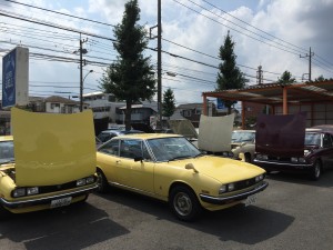 IMG_7261[1]