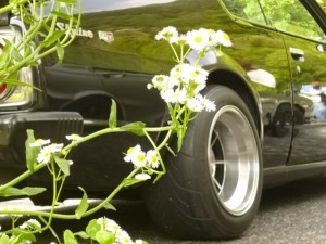 gtr999999