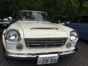 19689559