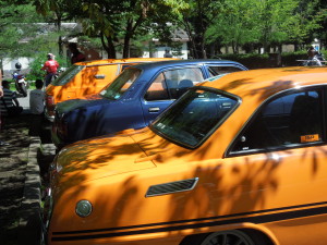 DSCN7907